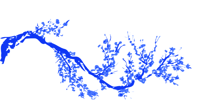 Cherry blossom illustration
